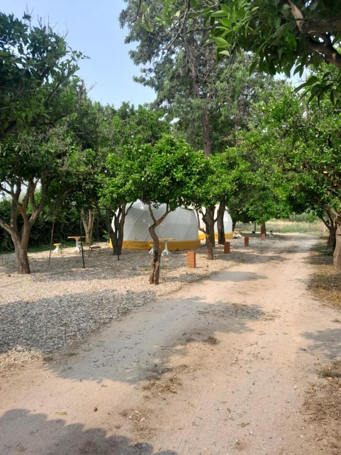 Pateo Das Laranjeiras Tomar Bagian luar foto